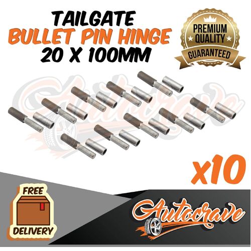 10x Bullet Pin Hinge Weldable | 20 x 100mm | Door Truck Trailer Tailgate