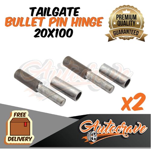 2x Bullet Pin Hinge Weldable | 20 x 100mm | Door Truck Trailer Tailgate