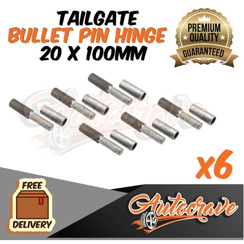 6x Bullet Pin Hinge Weldable | 20 x 100mm | Door Truck Trailer Tailgate